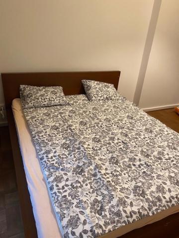 Large 3 Bedroom Family Close To The River Apartment Prague